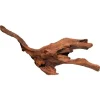 Racine de mangrove naturelle pour aquarium SUPERFISH - 30 cm