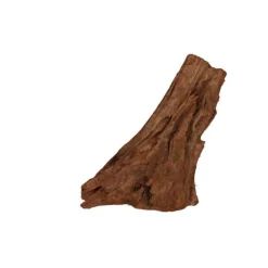 Racine Mangrove naturelle pour aquarium
