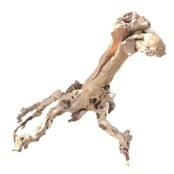 Racine Mopavigne pour aquarium et terrarium – Taille S