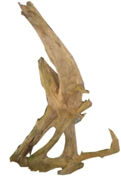 Racine pour aquarium coloris marron Aquavie Malaisie - Taille sm 26 à 32 cm