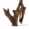 Racine pour aquarium coloris marron Aquavie Mangrove - Taille mm-gm 40 à 60 cm
