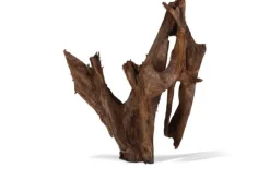 Racine pour aquarium coloris marron Aquavie Mangrove - Taille mm-gm 40 à 60 cm