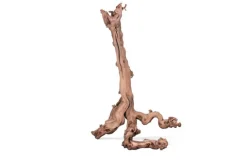 Racine pour terrarium coloris marron Aquavie Mopavigne - Taille XL