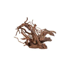 Racine Vigne rare rouge, env. 30 cm