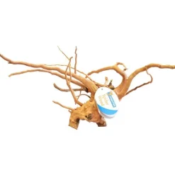 Racine-araignée de taille médium 30 à 40 cm