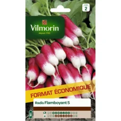Radis flamboyant 5 Vilmorin - graines à semer