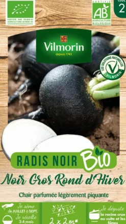 Radis Noir Gros Rond d'hiver Bio Vilmorin - graines à semer