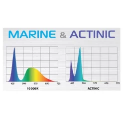 Rampe LED aquarium eau de mer Leddy Slim Duo Marine & Actinic 2.0 | Blanc 10 W - AQUAEL