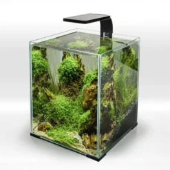 Rampe LED 4,8W pour aquarium d'eau douce noir - AQUAEL LEDDY Smart 2 Sunny Day & Night 2.0