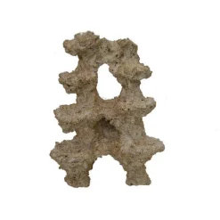 Reef Scene Support Colonisable H 45 cm
