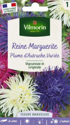 Reine Marguerite Plume d'Autruche variée Vilmorin - graines à semer