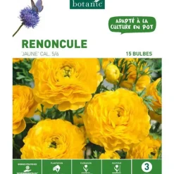 Renoncule jaune botanic® - 15 bulbes