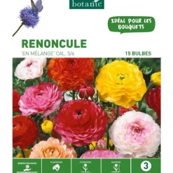 Renoncule Mélange botanic® - 15 bulbes