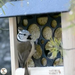 Repas aux fruits pour oiseaux de la nature Natures Market – 300 g