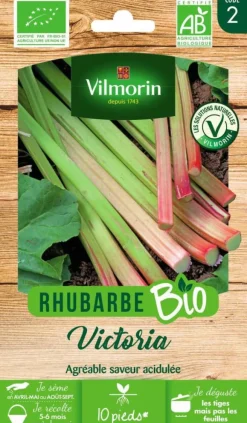 Rhubarbe Victoria Bio Vilmorin - graines à semer