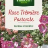 Rose Tremière Pastorale Vilmorin - graines à semer