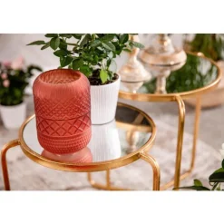 Rosier Amorosa Infinity Ø14 X H35 cm