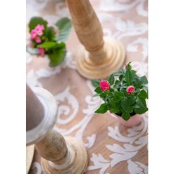 Rosier en pot Ø 6 cm