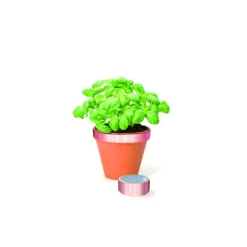 Rouleau cuivre anti-limaces