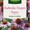 Rudbeckia Pourpre Magnus Vilmorin - graines à semer