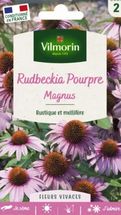 Rudbeckia Pourpre Magnus Vilmorin - graines à semer