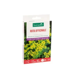 Ruta officinale botanic® - graines à semer (3 m²)