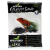 Sable de calcium pour terrarium coloris blanc Reptile Planet Sechura Natural - 5 kg