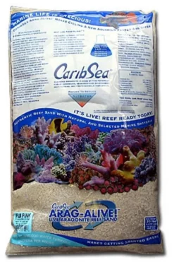 Sable vivant fin blanc Aragalive Bahamas Oolite - CARIBSEA - 9kg