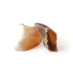 Sabot de veau en vrac - prix à la pièce