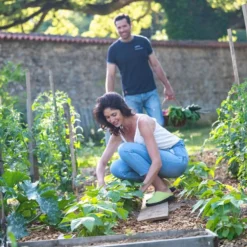 Sabots Marschal Blackfox Vert anis