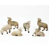 Sachet de 6 brebis - 10 cm