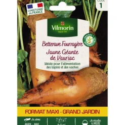 Sachet de graines de betterave fourragère jaune géante de Vauriac format économique