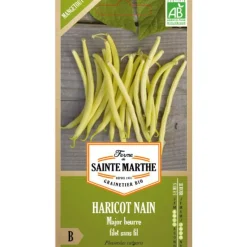 Sachet de graines de haricot major