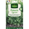 Sachet de graines de romarin officinal