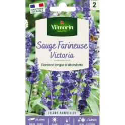 Sachet de graines de sauge