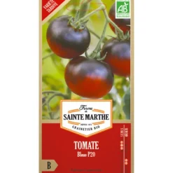 Sachet de graines de tomate bleue - 50 graines
