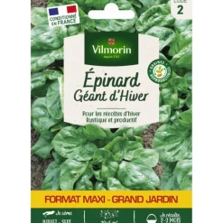 Sachet de graines d'épinard géant d'hiver format économique