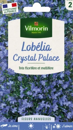 Sachet de Lobelia Crystal Palace Blue