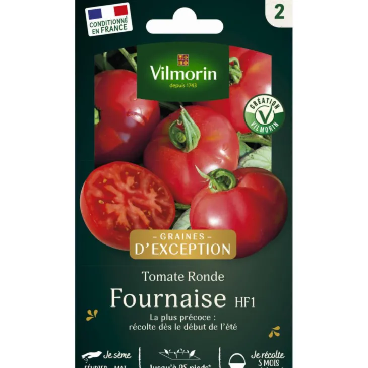 Sachet de semences potagères graines de tomate fournaise HF1 Graines d'Exception