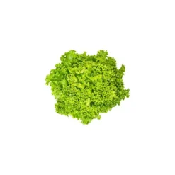Salade Lollo blonde bio de France - Prix à la pièce