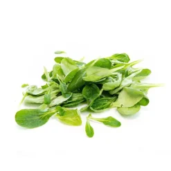 Salade mâche bio de France - Prix au kg