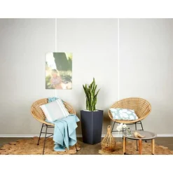 Sansevieria laurentii et son pot Cubico color Ø 30 gris