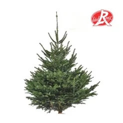 Sapin de Noël naturel coupé Label Rouge Nordmann