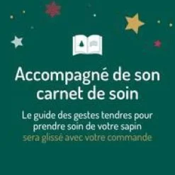 Sapin de Noël naturel coupé enneigé Glacé® blanc - de 110 à 125 cm