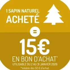 Sapin de Noël naturel coupé Nordmann
