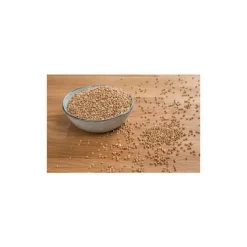 Sarrasin de France en grains - Prix au kilo