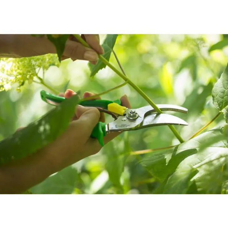 Sécateur coloris vert prairie Opinel