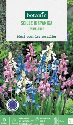 Scilla hispanica en mélange botanic® - 10 bulbes