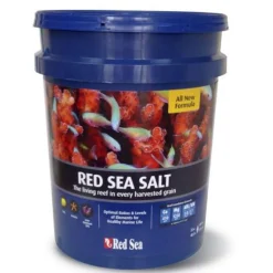 Sel de la mer Rouge en pot de 22 kg