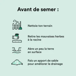 Semences gazon création et rénovation pour tous types de terrain Bleen - 1 kg